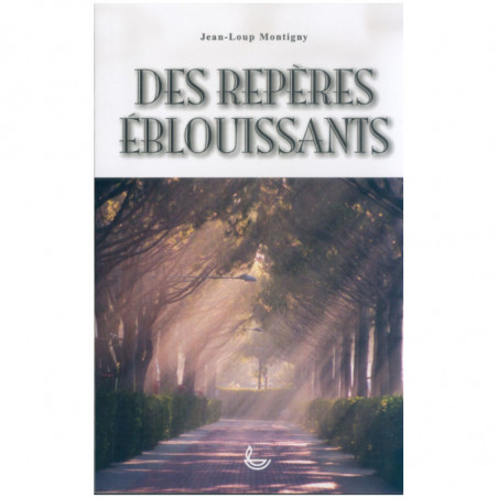 des repères blouissants